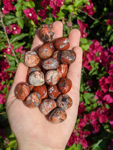 1 Brecciated Jasper Tumble