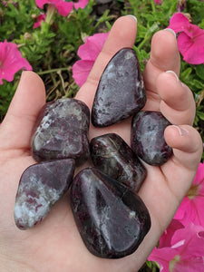 1 Dark Purple/Pink Tourmaline Tumbled Stone