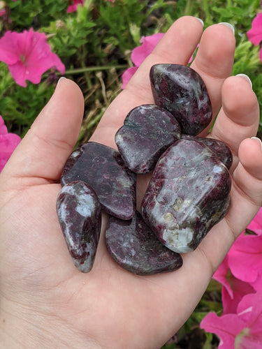 1 Dark Purple/Pink Tourmaline Tumbled Stone