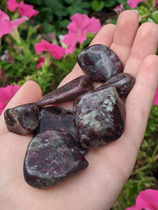 1 Dark Purple/Pink Tourmaline Tumbled Stone