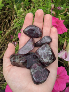 1 Dark Purple/Pink Tourmaline Tumbled Stone