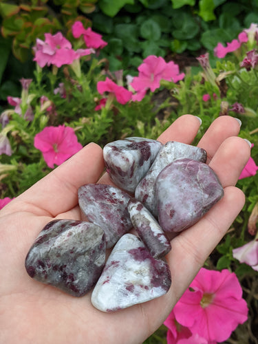 1 Light Purple/Pink Tourmaline Tumbled Stone with Smokey Quartz