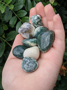 1 Tree Agate Tumble