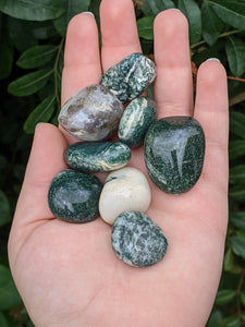 1 Tree Agate Tumble