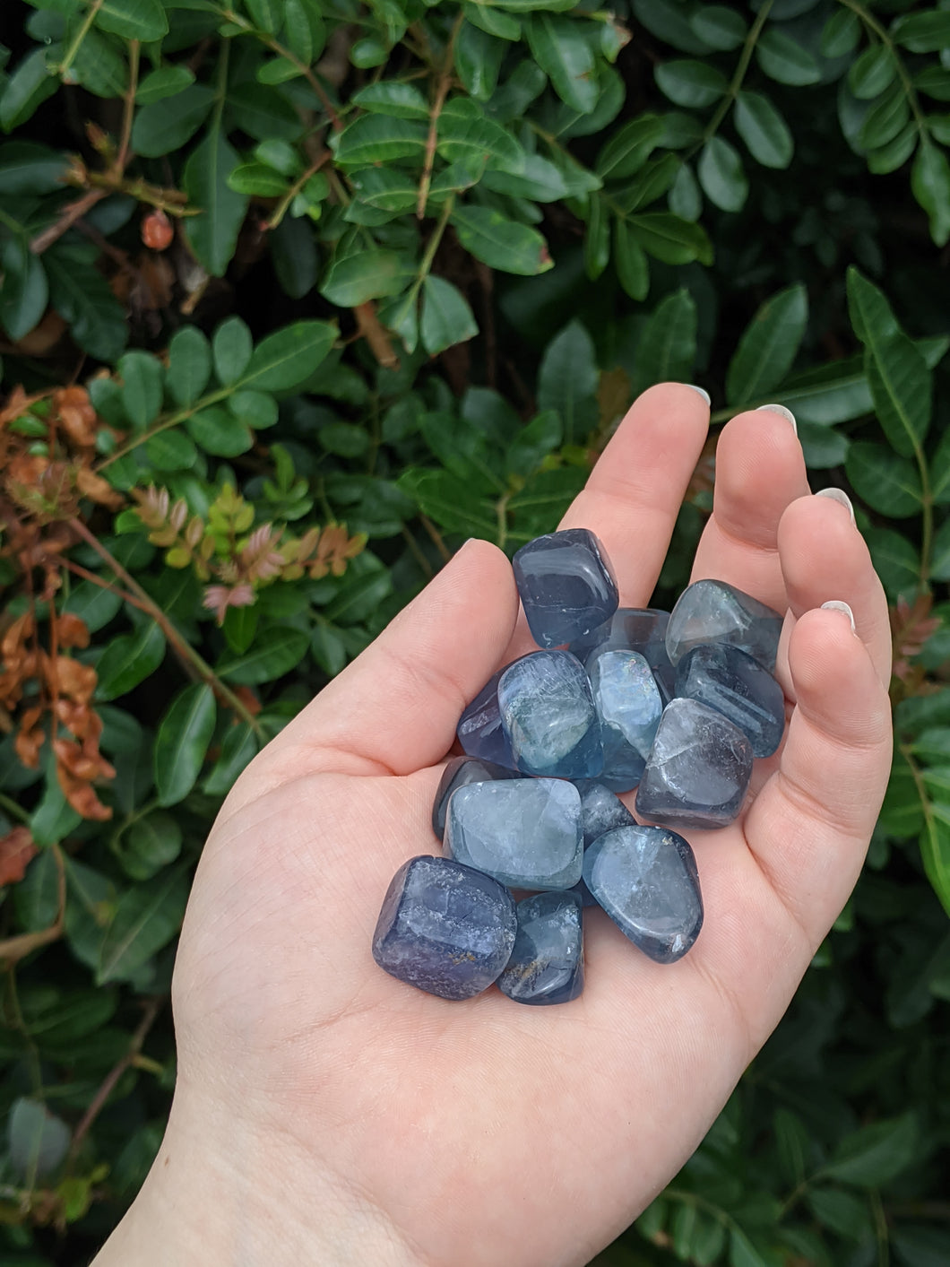 1 Blue Green Fluorite Tumble