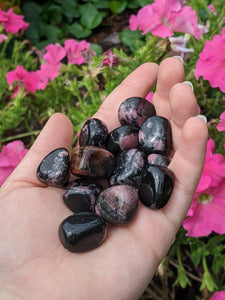 1 Small Rhodonite Tumbled Stone