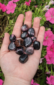 1 Small Rhodonite Tumbled Stone