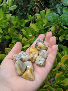 1 Crazy Lace Agate Tumble