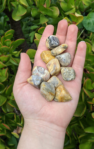 1 Crazy Lace Agate Tumble