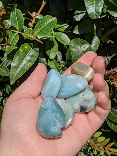 1 Large Dark Amazonite Tumble