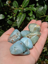 Load image into Gallery viewer, 1 Large Dark Amazonite Tumble