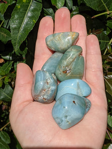 1 Large Dark Amazonite Tumble