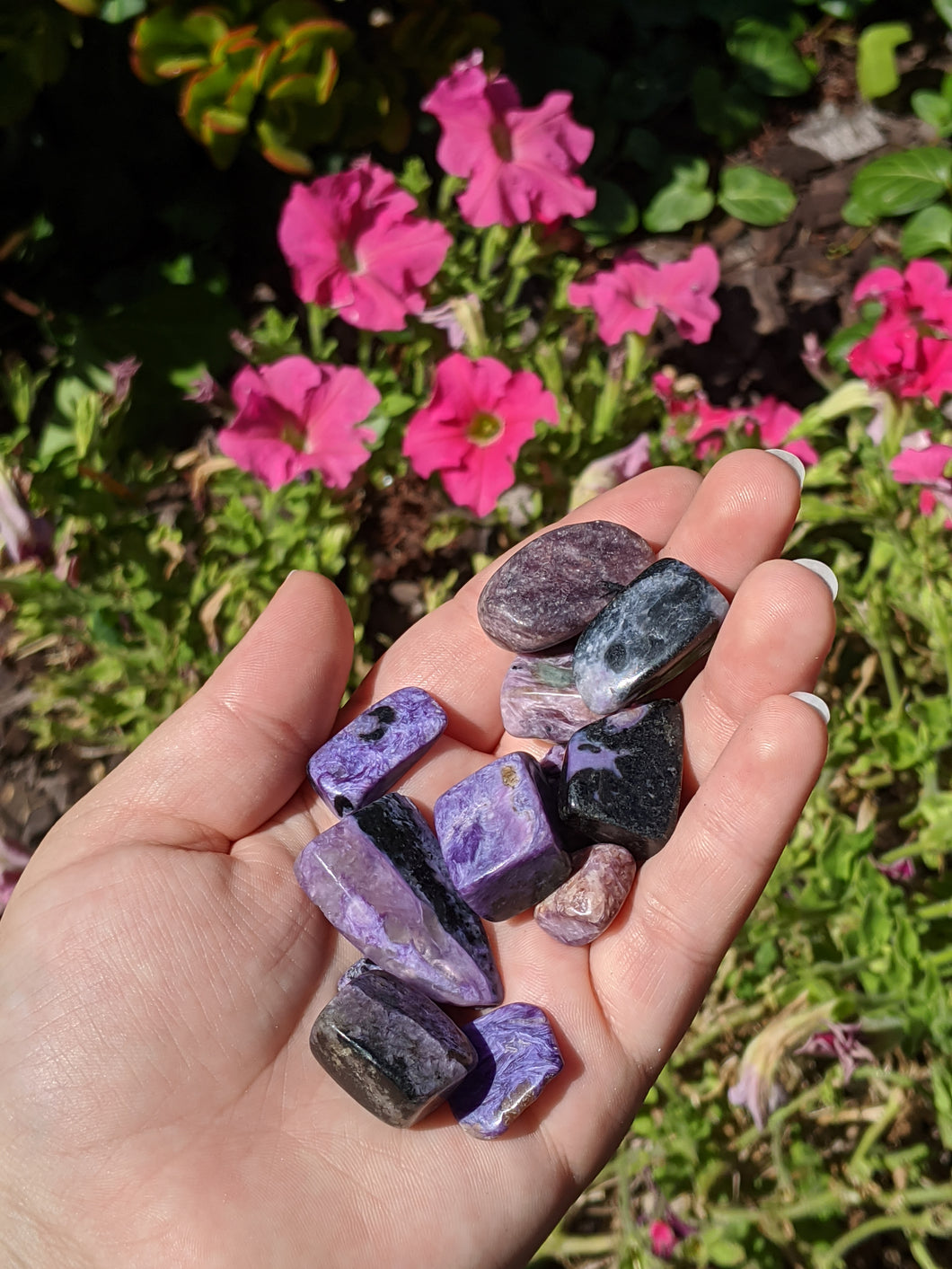 1 Large Charoite Chip