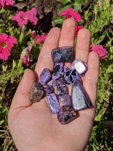 1 Large Charoite Chip