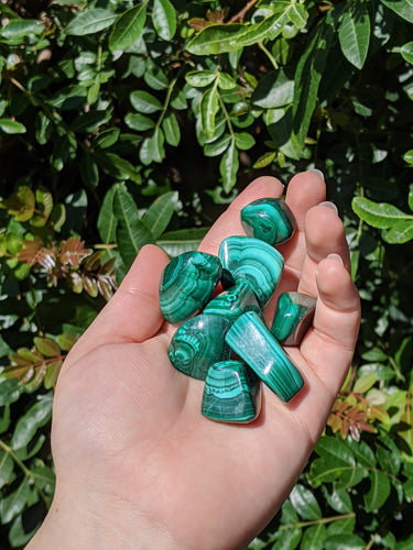 1 Medium Malachite Tumble