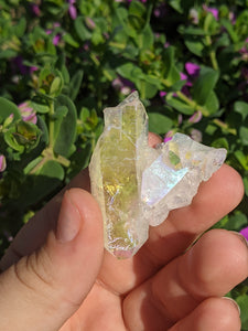 Angel Aura Quartz Cluster*