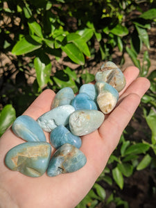 1 Amazonite Tumble