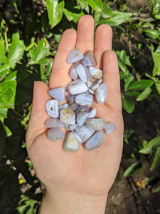 1 Blue Lace Agate Chip