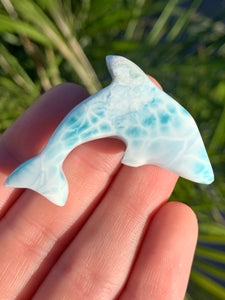 Larimar Dolphin #10*