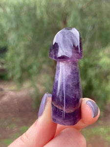 Amethyst Mushroom