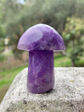 Load image into Gallery viewer, Amethyst Mushroom*