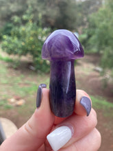 Load image into Gallery viewer, Amethyst Mushroom*