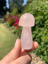 Load image into Gallery viewer, Rose Quartz Mushroom*