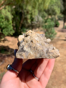 Lodolite Elestial Quartz Cluster