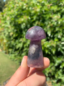 Fluorite Mushroom*