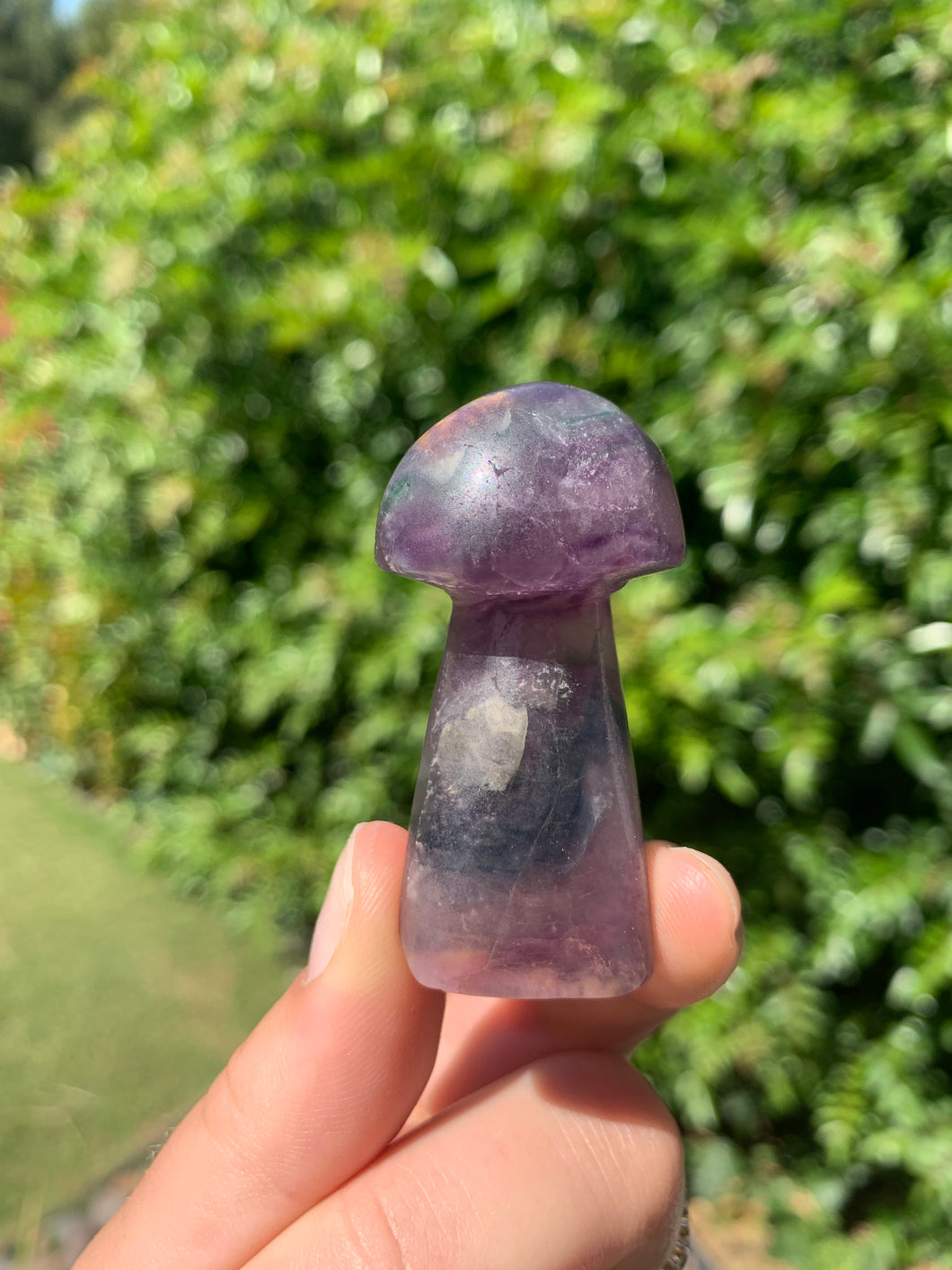 Fluorite Mushroom*