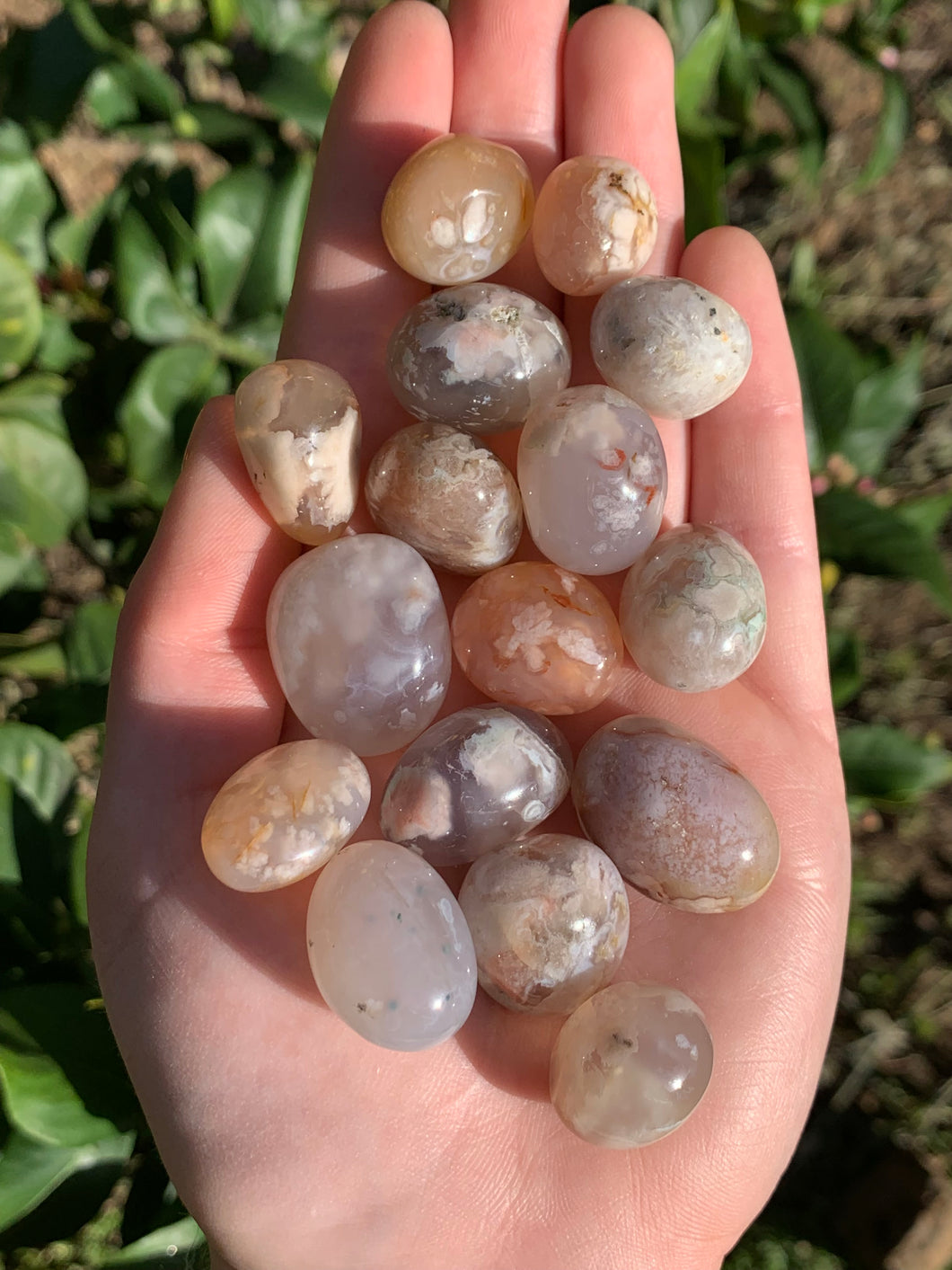 1 Pink Flower Agate Tumble Intuitively Selected*