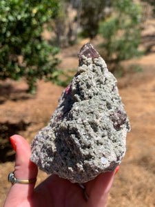 Watermelon Tourmaline in Green Mica*