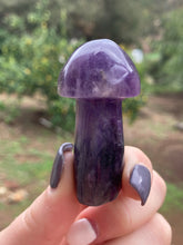 Load image into Gallery viewer, Amethyst Mushroom*