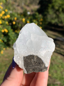 Apophyllite Standing Cluster*