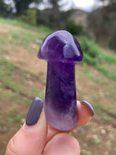 Load image into Gallery viewer, Amethyst Mushroom*