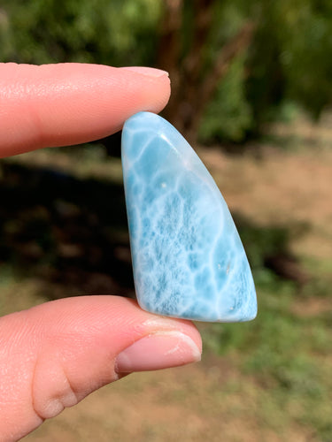 Larimar Cab