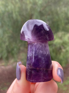 Amethyst Mushroom