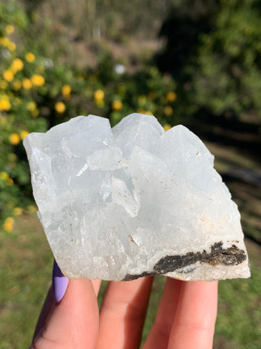 Apophyllite Standing Cluster*