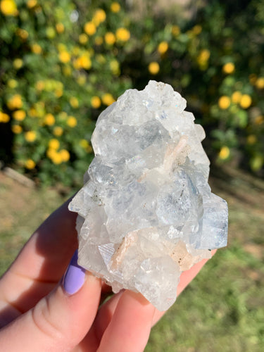 Apophyllite Stilbite Standing Cluster*