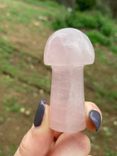 Load image into Gallery viewer, Rose Quartz Mushroom*