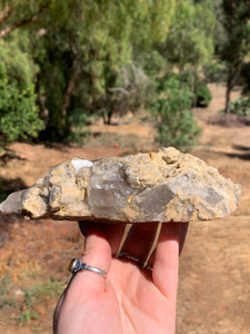 Lodolite Elestial Quartz Cluster