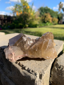 Rutile Smokey Cluster w lepidolite*