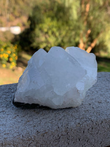 Apophyllite Standing Cluster*