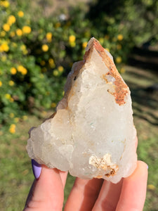 Apophyllite Standing Cluster*