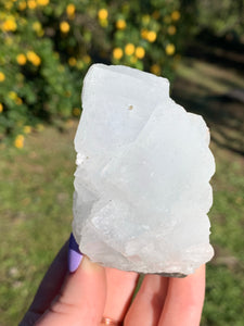 Apophyllite Standing Cluster*