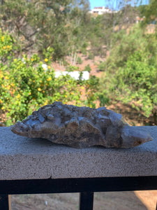 Lodolite Elestial Quartz Cluster