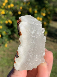 Apophyllite Standing Cluster*