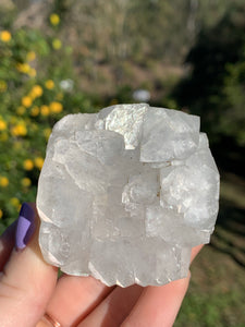 Apophyllite Cubed Standing Cluster*