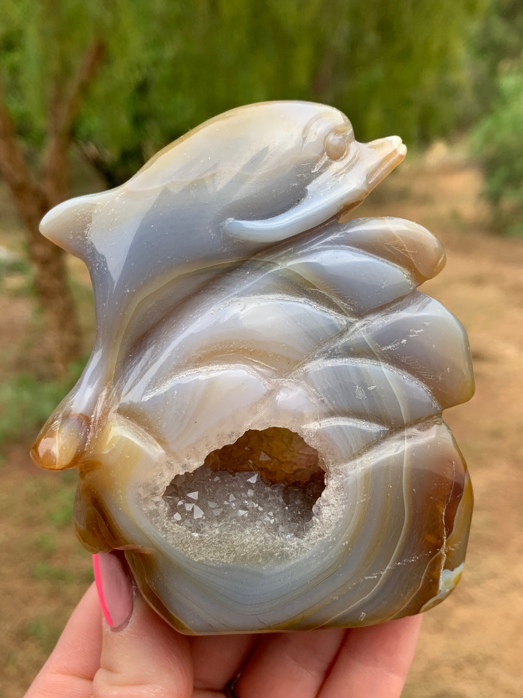 Agate with Carnelian Dolphin