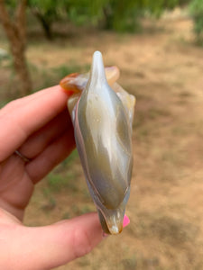 Agate with Carnelian Dolphin